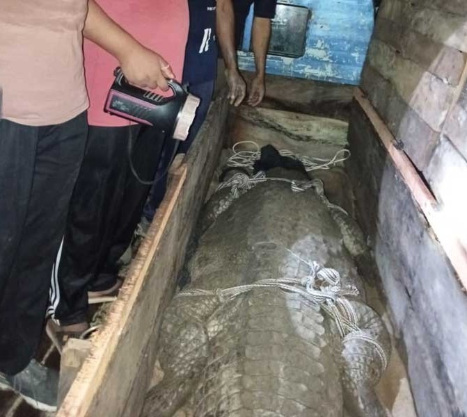 খানজাহান আলীর দিঘির সেই ‘ধলাপাহাড়’ এখন কক্সবাজারের সাফারি পার্কে